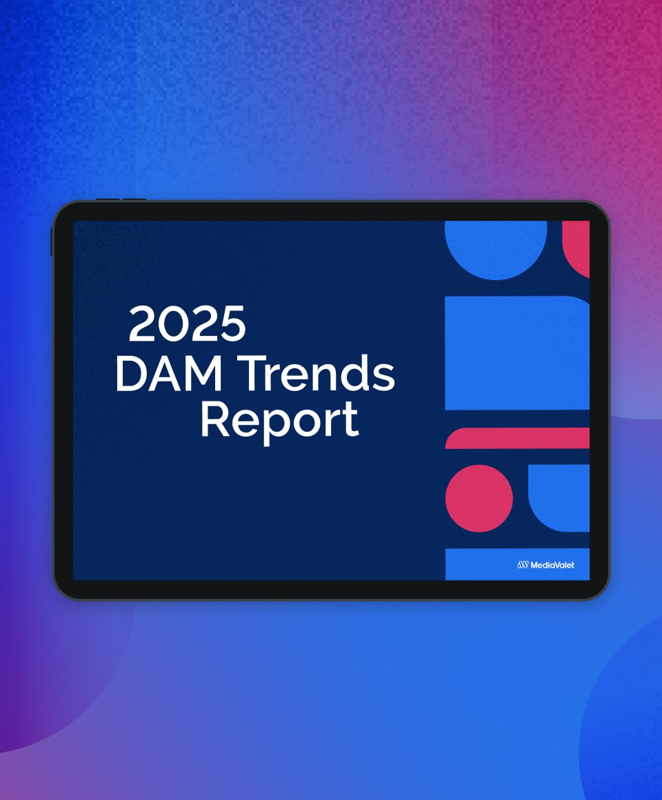 2025 DAM trends Report Resource Image