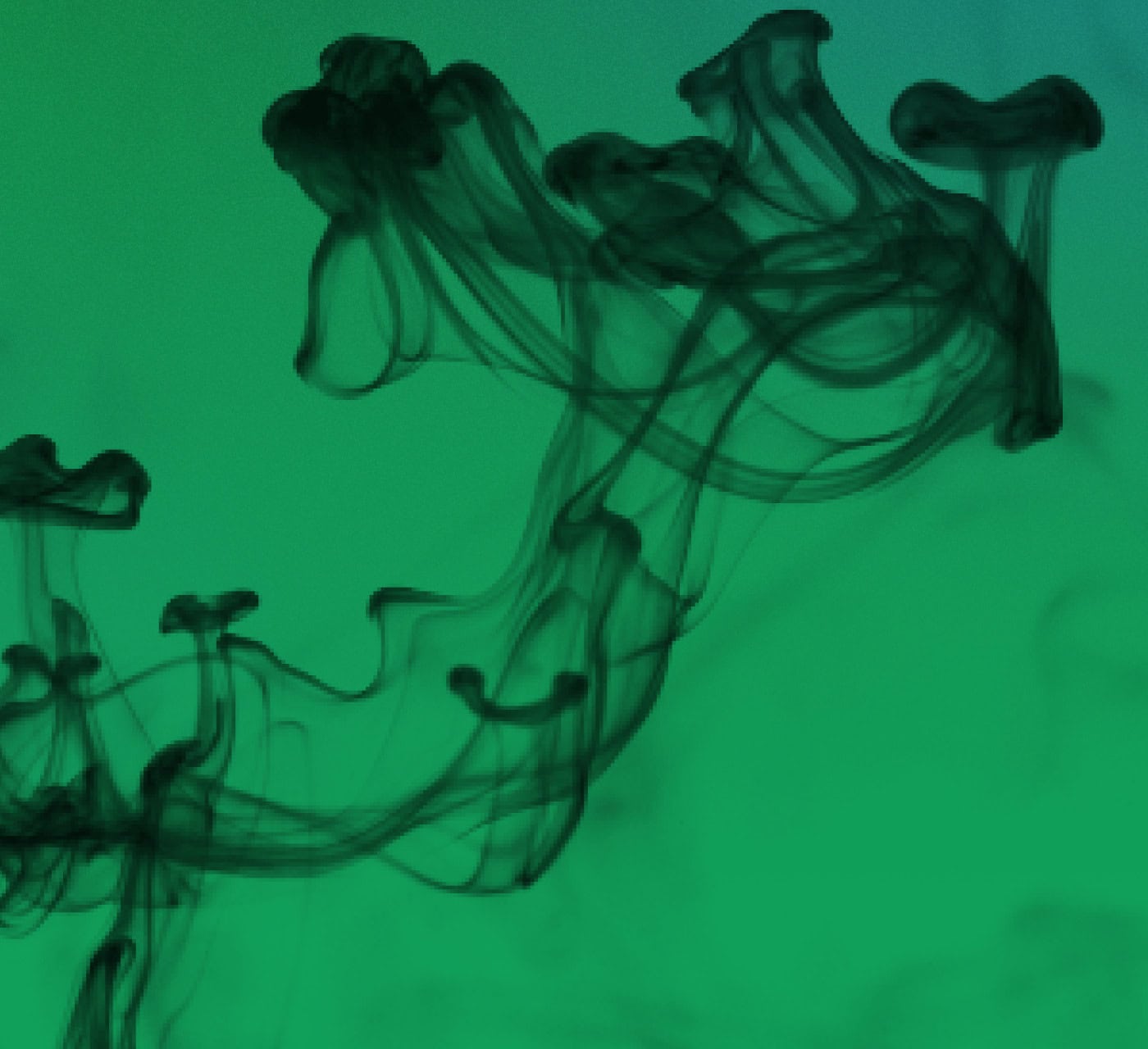 6f92b8b0500cba0a3d9229abdbca2cbe5997675d 1400x1280 1