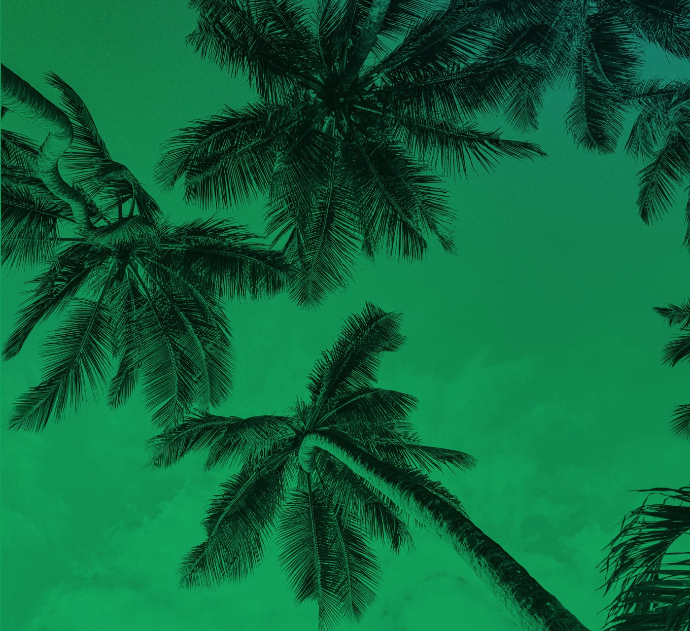 77f3ef90168ee5cfaf92429a2815cc562032b66c 1400x1280 2