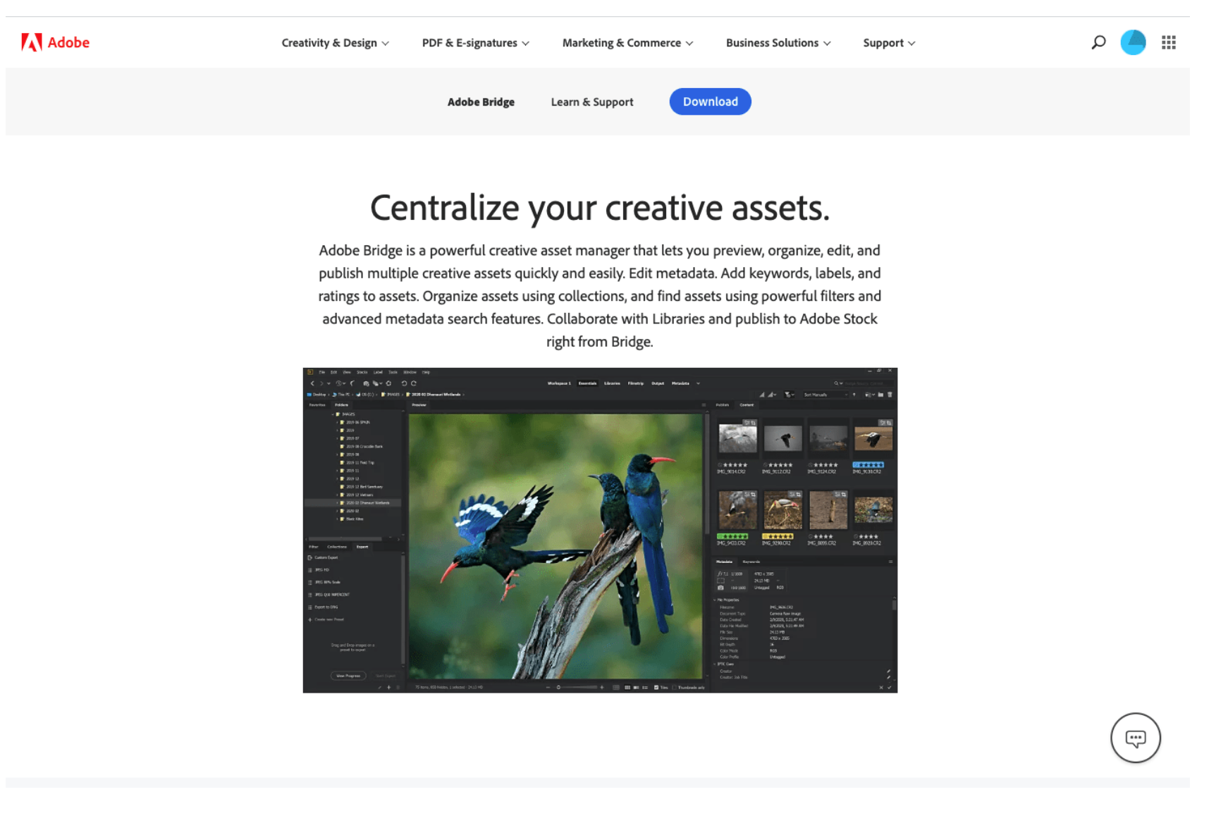 Adobe Bridge
