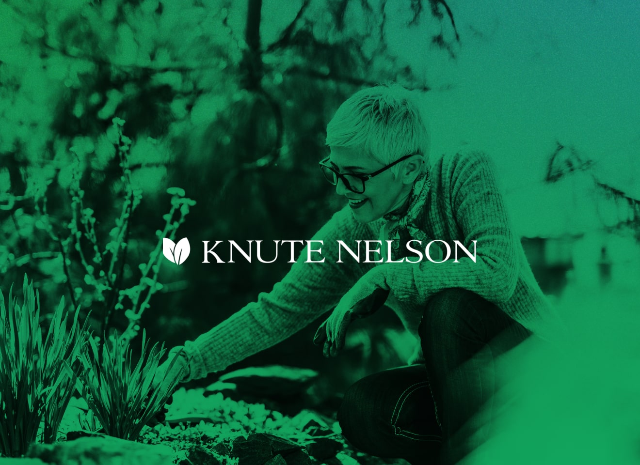 Case Study Knute Nelson Card