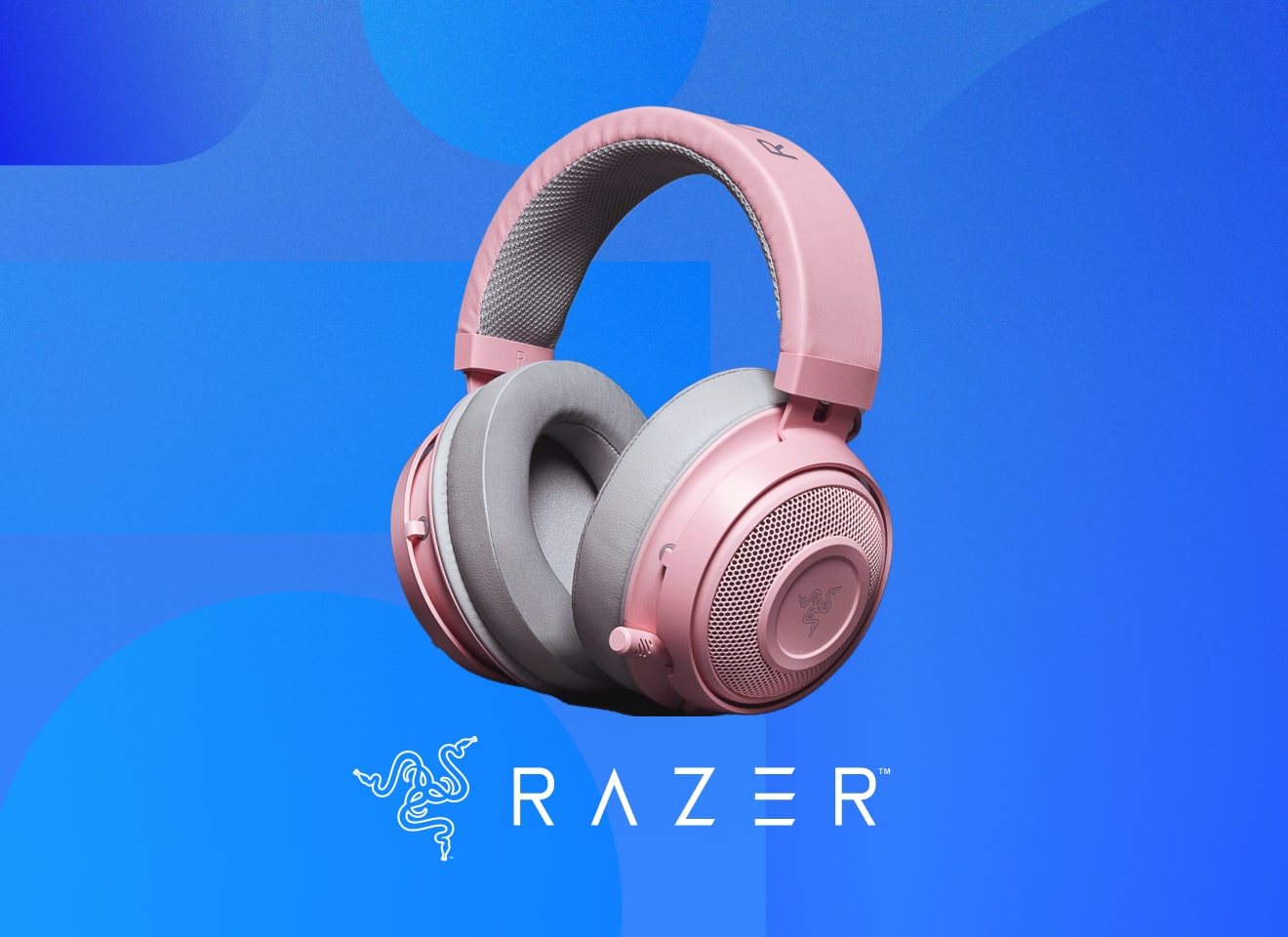Case Study Razer Card