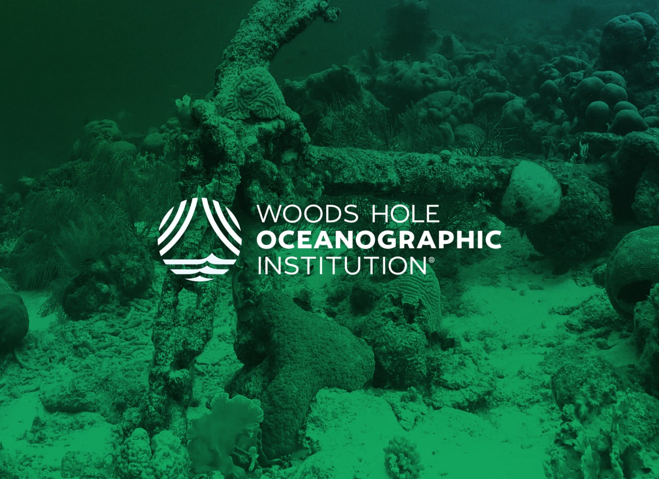 Case Study WHOI Card