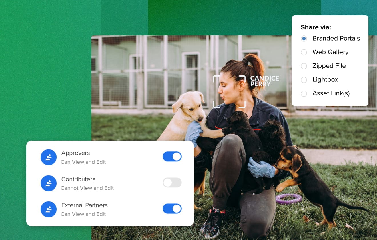 Image of woman volunteering at dog shelter with an overlay of a module highlighting MediaValet sharing option and module of MediaValet's permissions