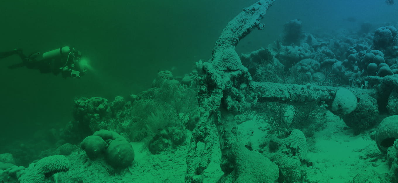 WHOI Case Study Hero