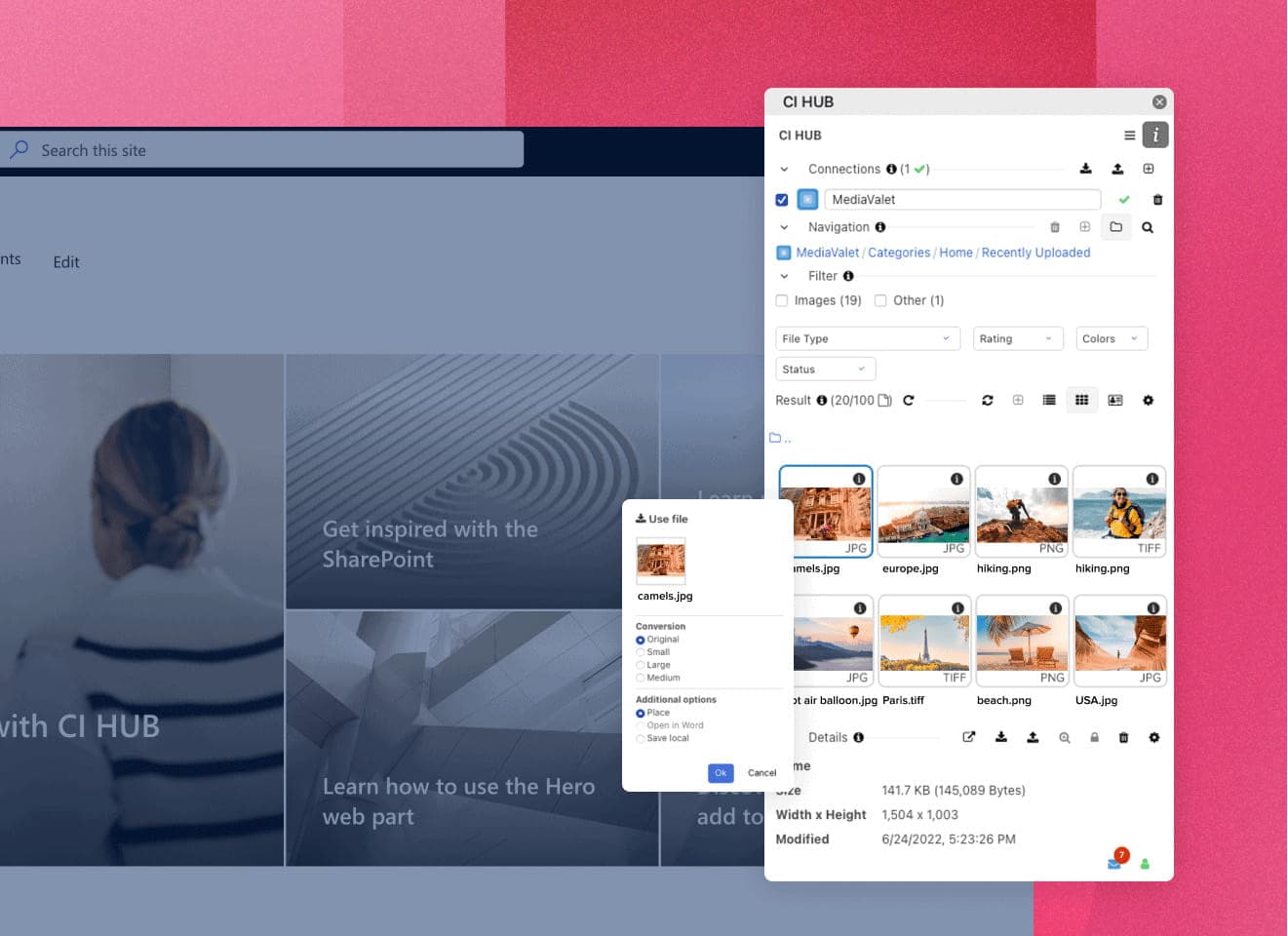Adobe CI Hub connector screenshot