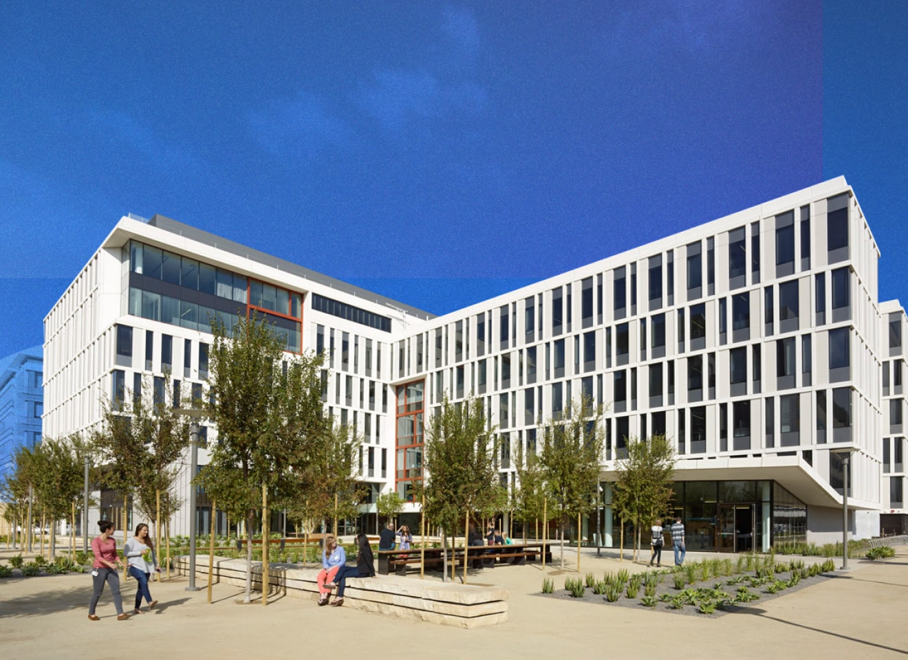 blog DAM Week UCSF Image