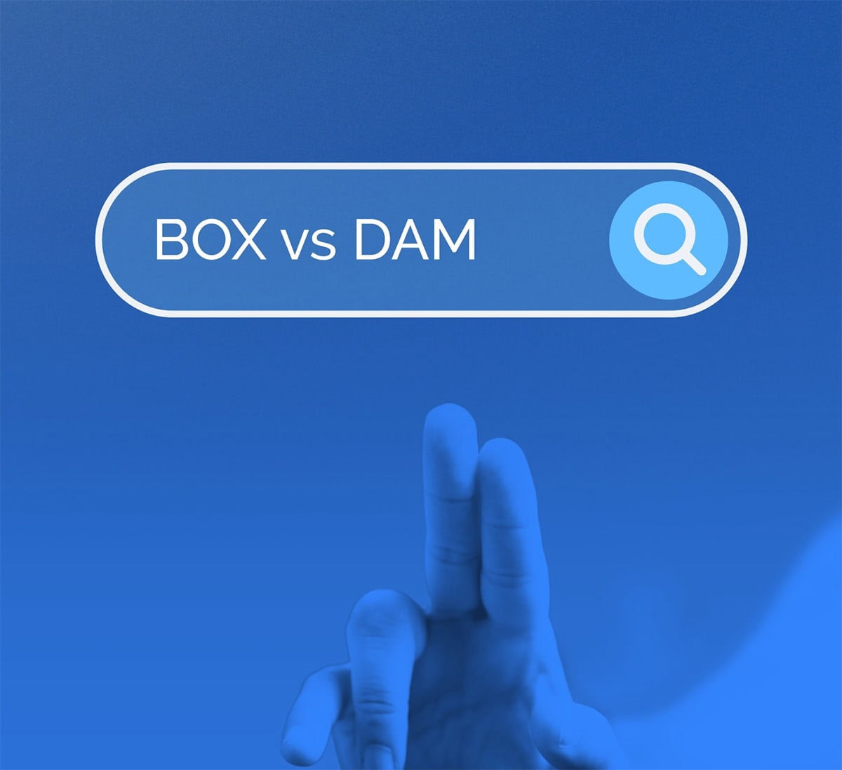 BOX vs DAM in a search bar