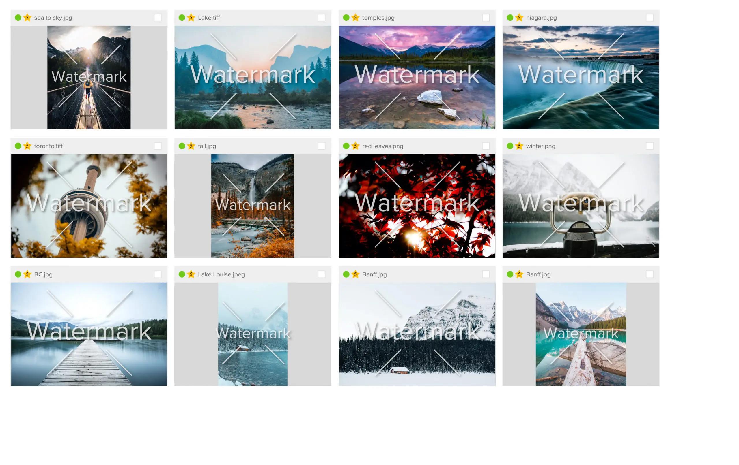 Dashboard of watermarked images